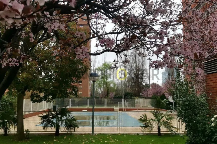 Piso en calle de Pastora Imperio