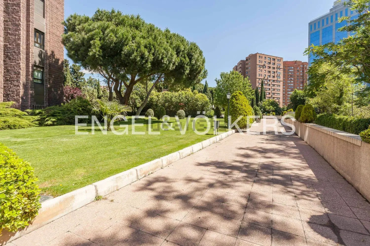 Piso en avenida de Pío XII