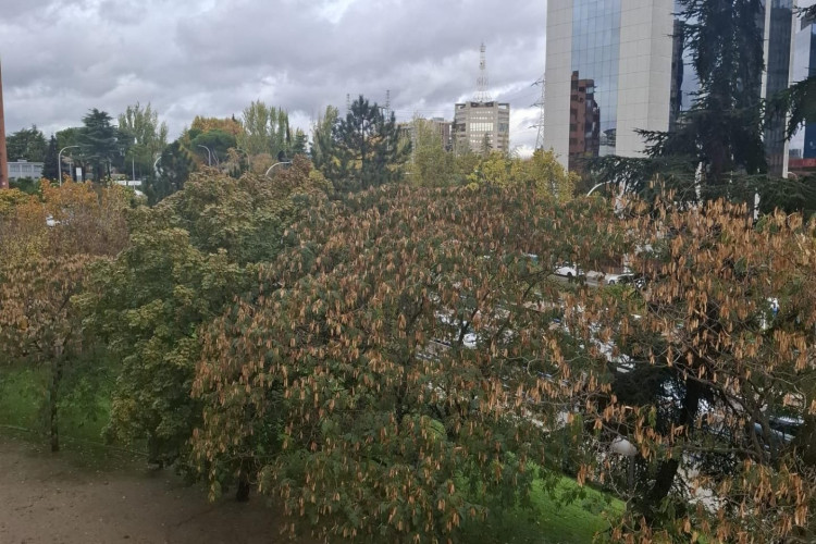 Avenida de Pu00EDo XII, 97, Castilla