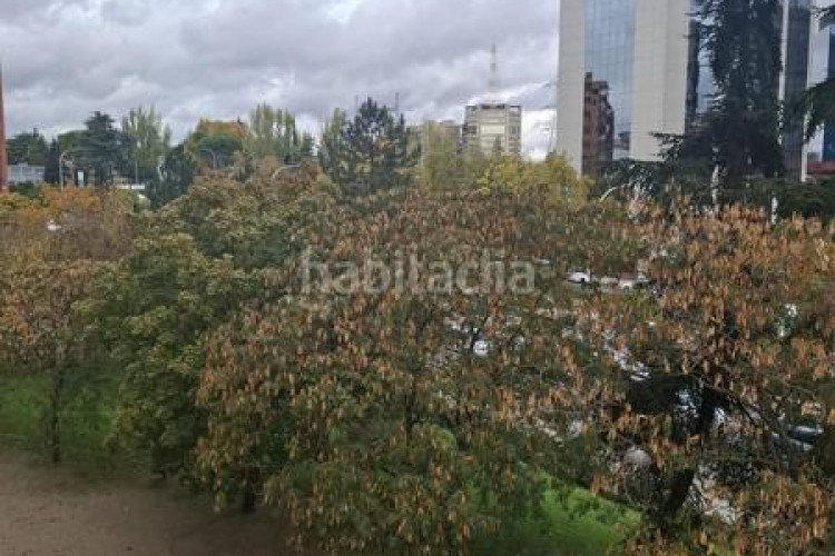 Piso en avenida de pío xii 97 en Castilla Madrid