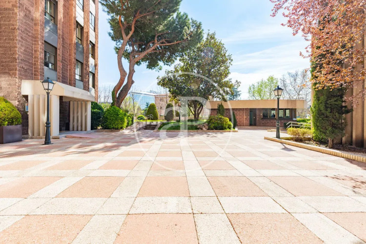 Piso en Barrio Castilla