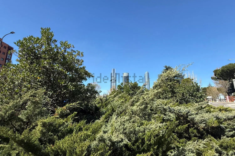 Piso en avenida de Pío XII