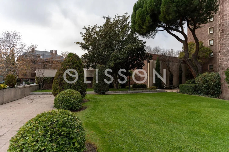 Piso en Barrio Castilla