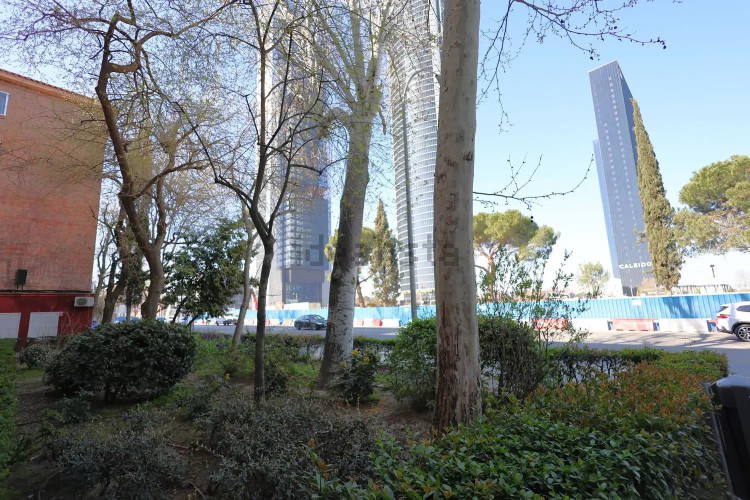 Piso en paseo de la Castellana