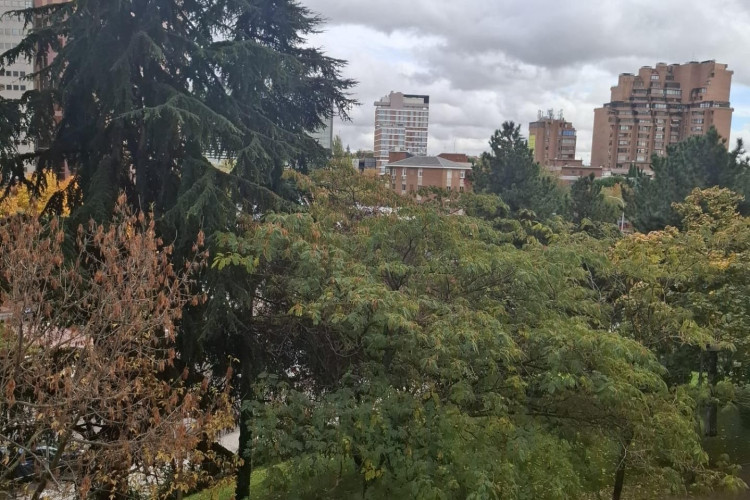 Avenida de Pu00EDo XII, 97, Castilla