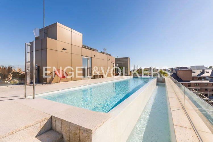 Apartamento espectacular bajo con jardín de obra nueva en Madrid