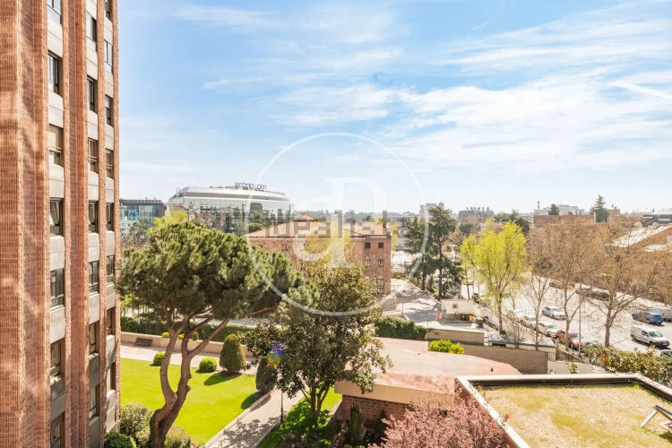 Piso en Barrio Castilla