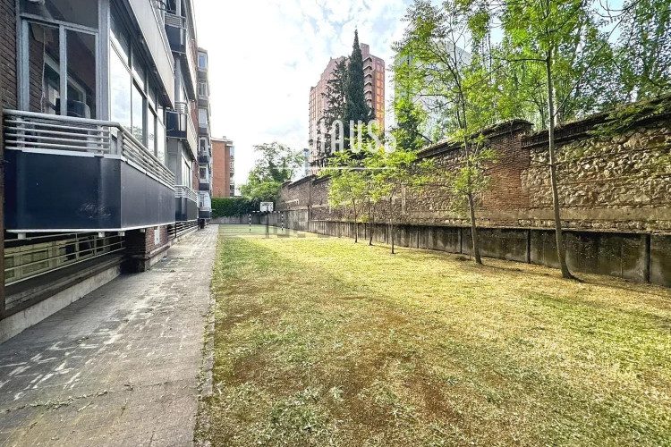 Piso en venta en Avenida de Pío XII