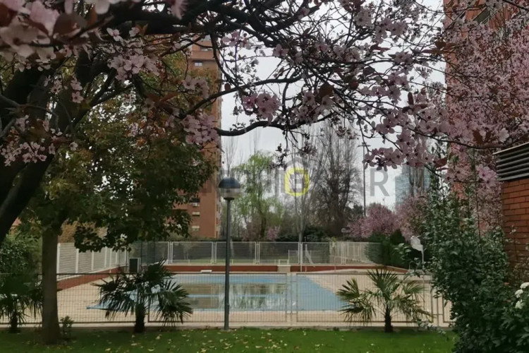 Piso en calle de Pastora Imperio