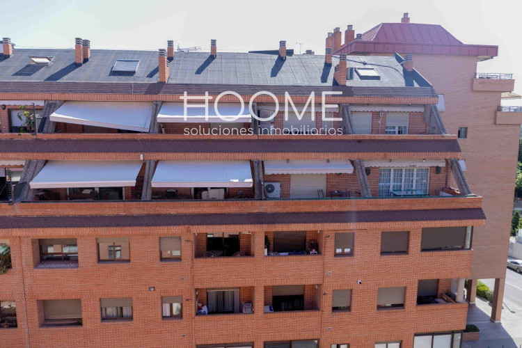 BUGANVILLA, Castilla