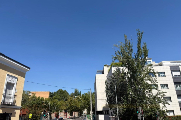 Castilla