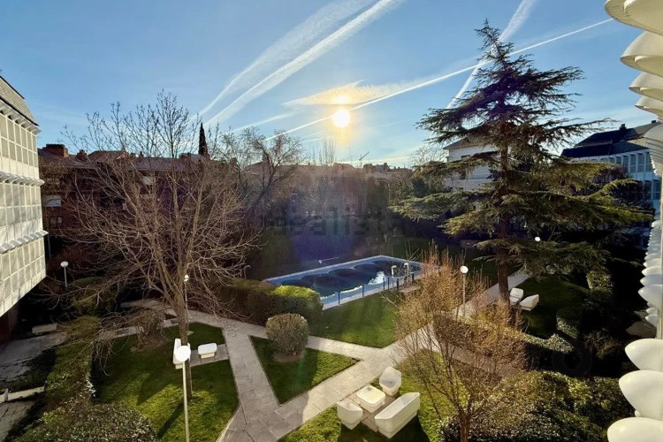 Piso en avenida de Pío XII