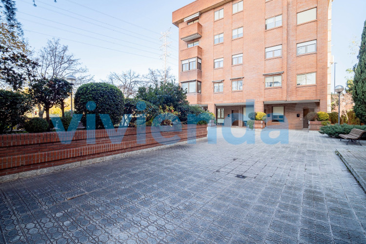 AVENIDA BURGOS, Castilla