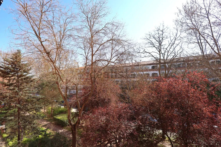 Piso en paseo de la Castellana